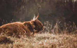 Jak Fotit Oblečení Do E-Shopu